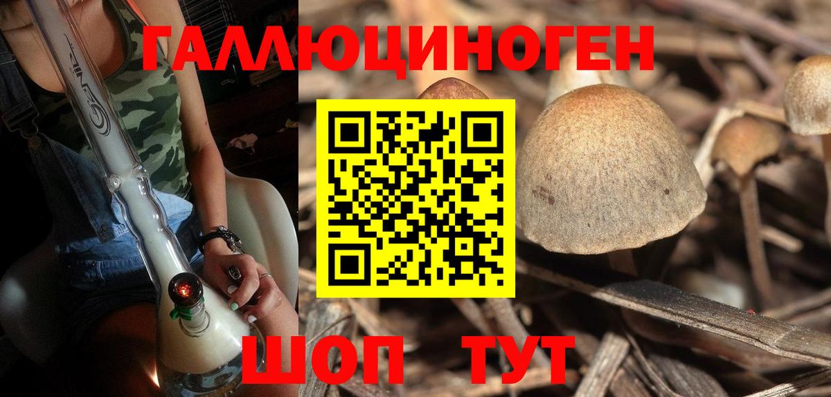 Галлюциногенные грибы Psilocybine cubensis  Псилоцибиновые грибы MAGIC MUSHROOMS  Ковров  Вход с VPN 